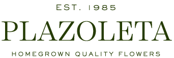 Flores de la Plazoleta Logotipo